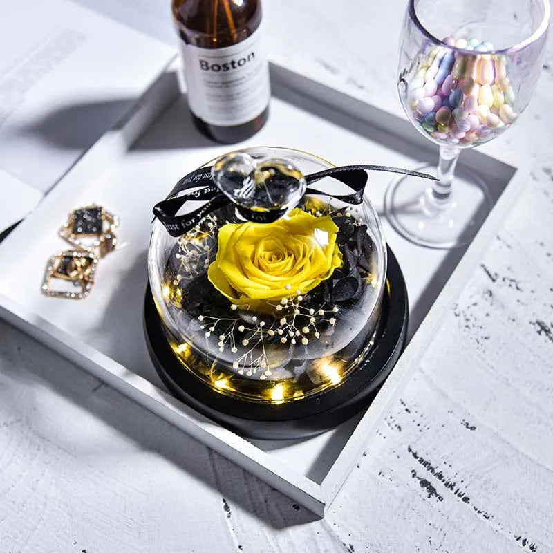 Beauty and Beast Natural Eternal Flowers Forever Preserved Rose In Glass Dome W Led Valentine Birthday Christmas Gifts for Her