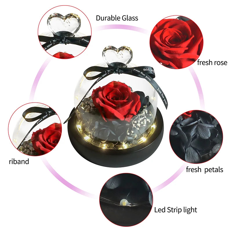 Beauty and Beast Natural Eternal Flowers Forever Preserved Rose In Glass Dome W Led Valentine Birthday Christmas Gifts for Her