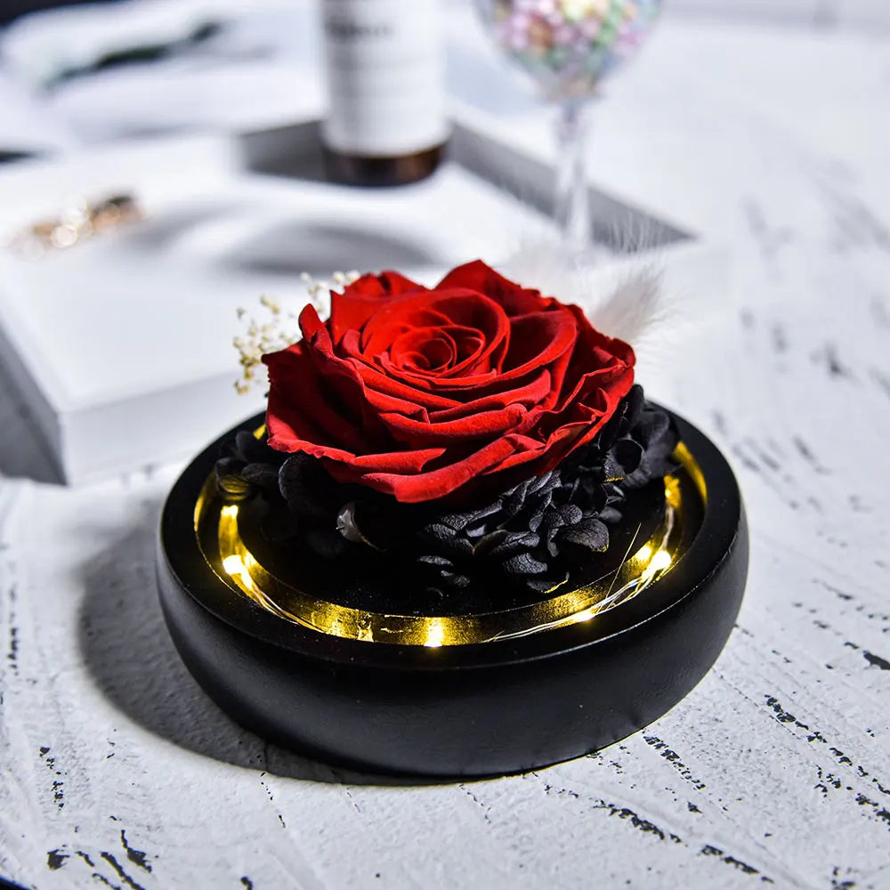 Beauty and Beast Natural Eternal Flowers Forever Preserved Rose In Glass Dome W Led Valentine Birthday Christmas Gifts for Her