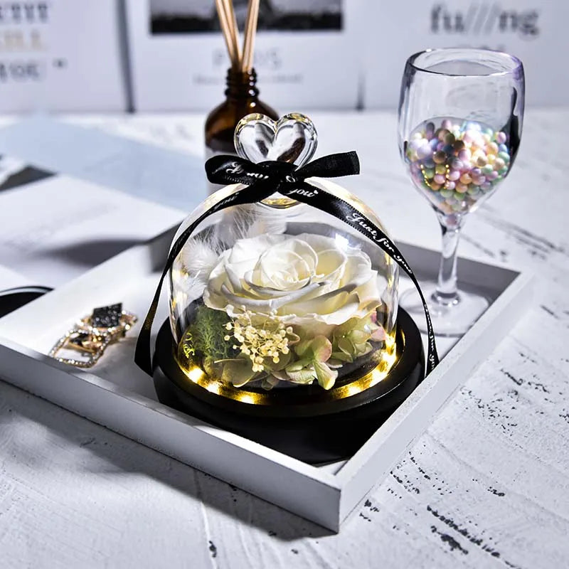 Beauty and Beast Natural Eternal Flowers Forever Preserved Rose In Glass Dome W Led Valentine Birthday Christmas Gifts for Her
