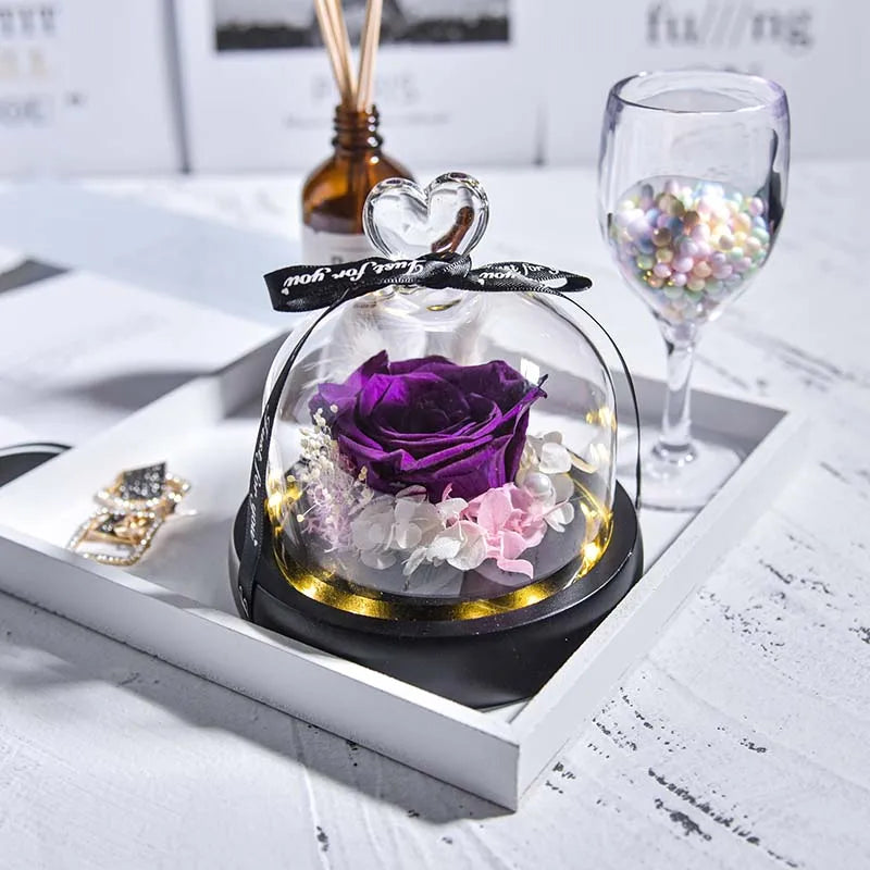 Beauty and Beast Natural Eternal Flowers Forever Preserved Rose In Glass Dome W Led Valentine Birthday Christmas Gifts for Her