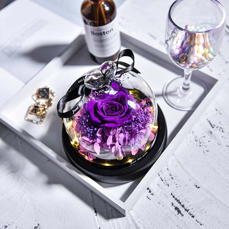 Beauty and Beast Natural Eternal Flowers Forever Preserved Rose In Glass Dome W Led Valentine Birthday Christmas Gifts for Her