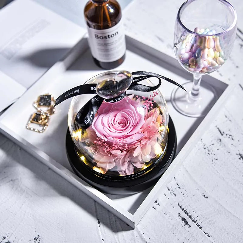 Beauty and Beast Natural Eternal Flowers Forever Preserved Rose In Glass Dome W Led Valentine Birthday Christmas Gifts for Her