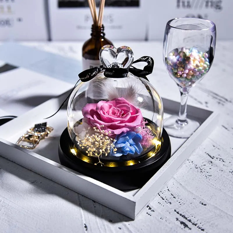Beauty and Beast Natural Eternal Flowers Forever Preserved Rose In Glass Dome W Led Valentine Birthday Christmas Gifts for Her