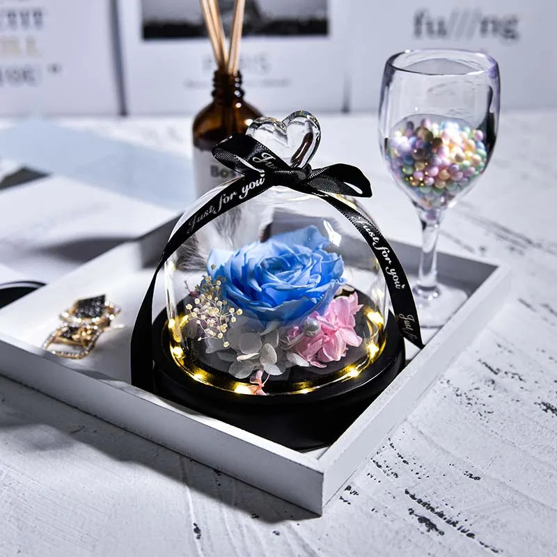 Beauty and Beast Natural Eternal Flowers Forever Preserved Rose In Glass Dome W Led Valentine Birthday Christmas Gifts for Her