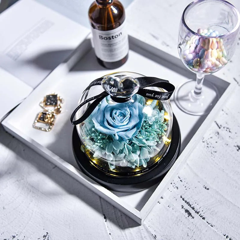 Beauty and Beast Natural Eternal Flowers Forever Preserved Rose In Glass Dome W Led Valentine Birthday Christmas Gifts for Her