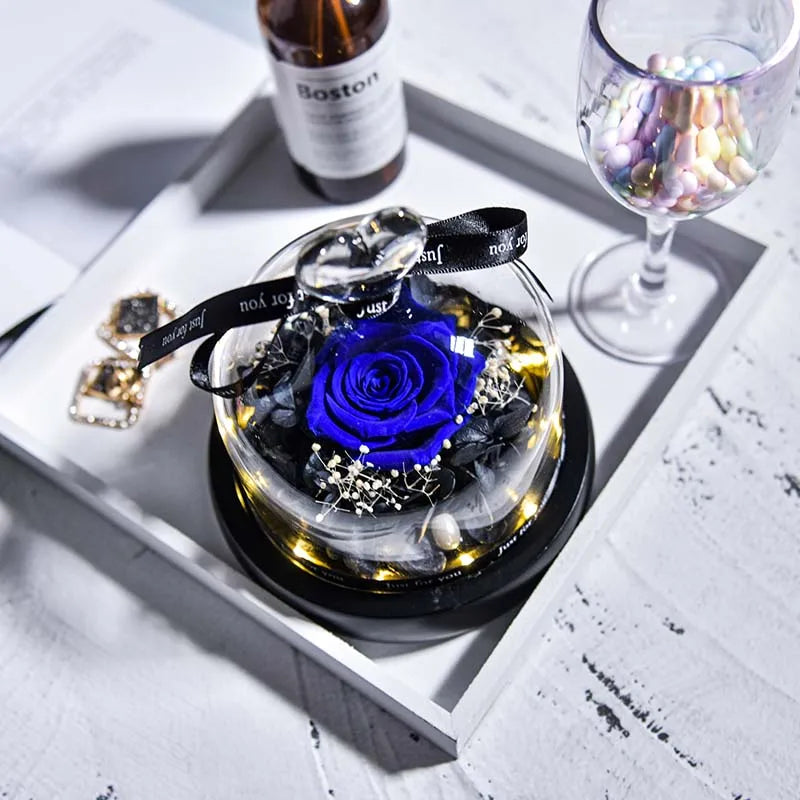 Beauty and Beast Natural Eternal Flowers Forever Preserved Rose In Glass Dome W Led Valentine Birthday Christmas Gifts for Her