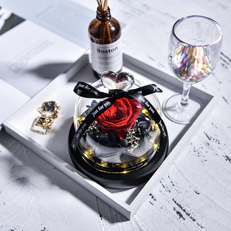 Beauty and Beast Natural Eternal Flowers Forever Preserved Rose In Glass Dome W Led Valentine Birthday Christmas Gifts for Her