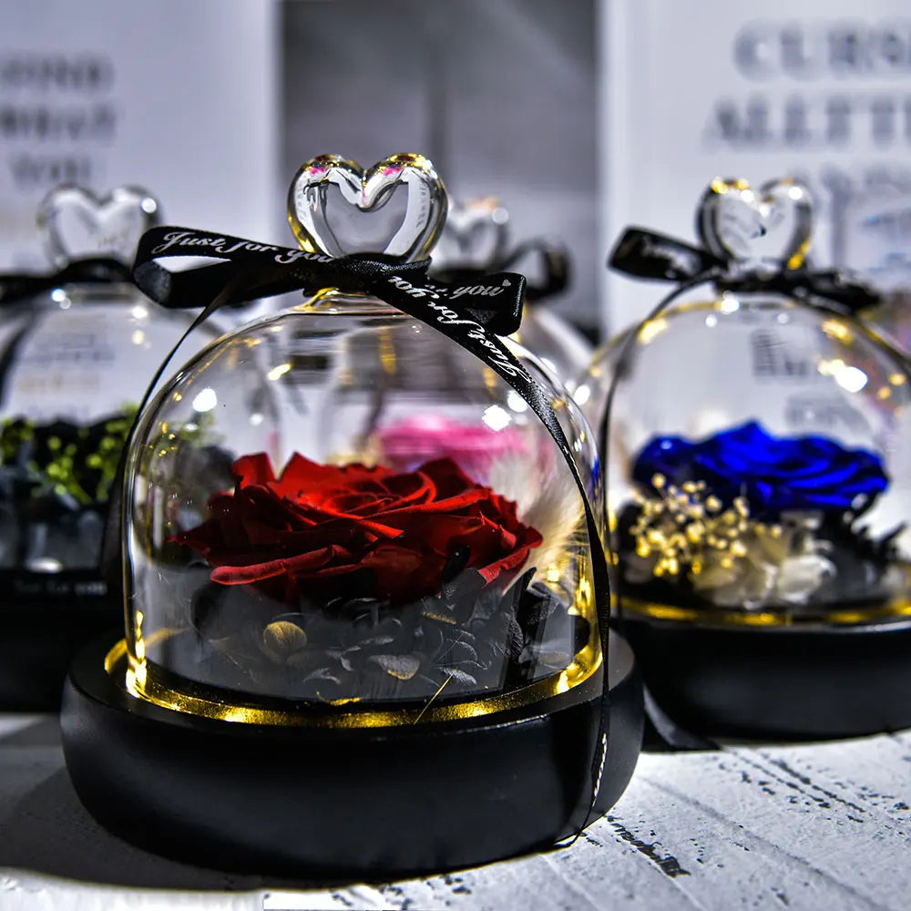 Beauty and Beast Natural Eternal Flowers Forever Preserved Rose In Glass Dome W Led Valentine Birthday Christmas Gifts for Her