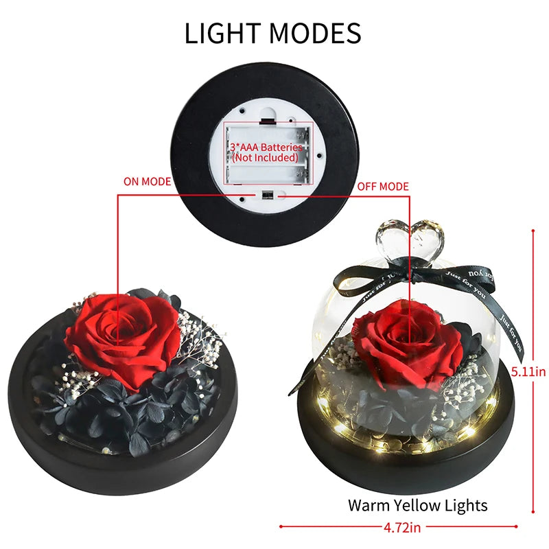 Beauty and Beast Natural Eternal Flowers Forever Preserved Rose In Glass Dome W Led Valentine Birthday Christmas Gifts for Her