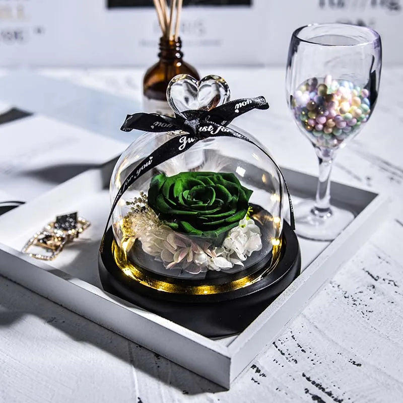 Beauty and Beast Natural Eternal Flowers Forever Preserved Rose In Glass Dome W Led Valentine Birthday Christmas Gifts for Her